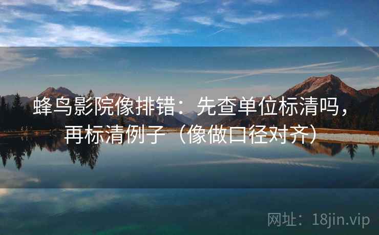 蜂鸟影院像排错：先查单位标清吗，再标清例子（像做口径对齐）